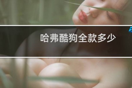 哈弗酷狗全款多少