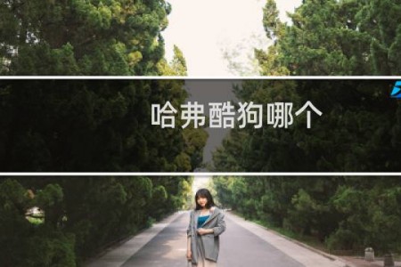 哈弗酷狗哪个
