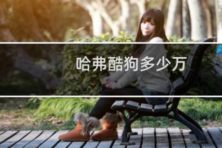 哈弗酷狗多少万