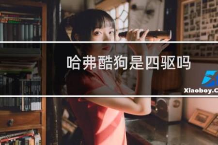 哈弗酷狗是四驱吗