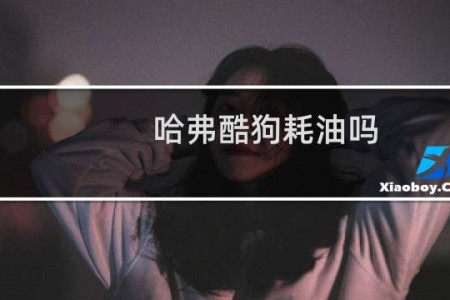 哈弗酷狗耗油吗