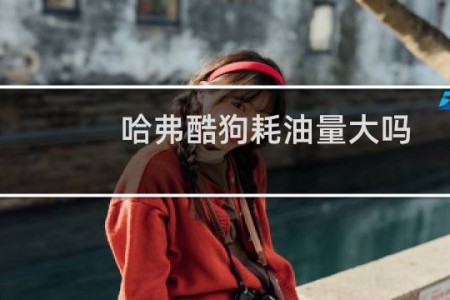 哈弗酷狗耗油量大吗