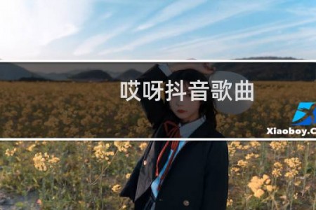 哎呀抖音歌曲