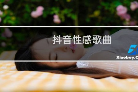 抖音性感歌曲