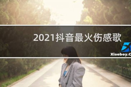 2021抖音最火伤感歌曲