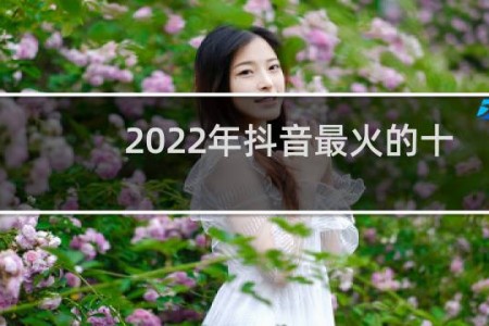 2022年抖音最火的十首dj歌曲