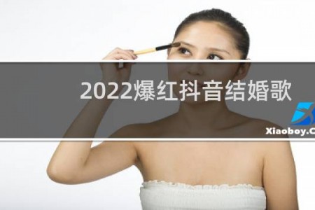 2022爆红抖音结婚歌曲